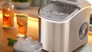 Por que você deve ter uma máquina de gelo