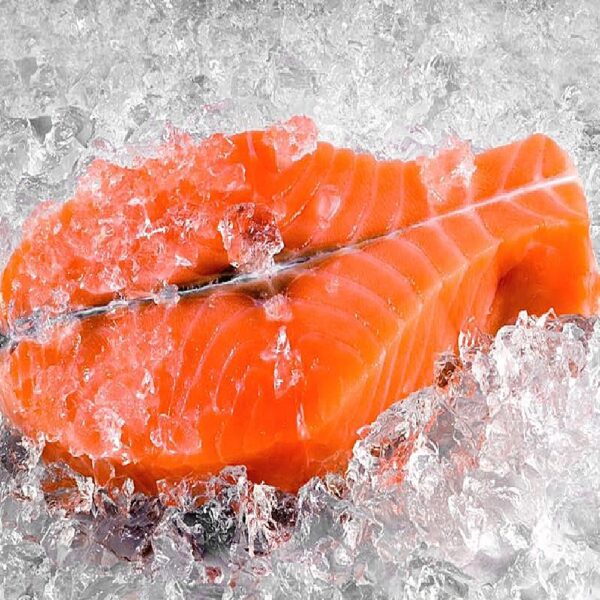 Máquina de Gelo Granular GR90 90 Kg/dia | 20 litros 220v